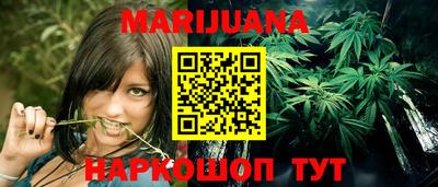сатива Аргун