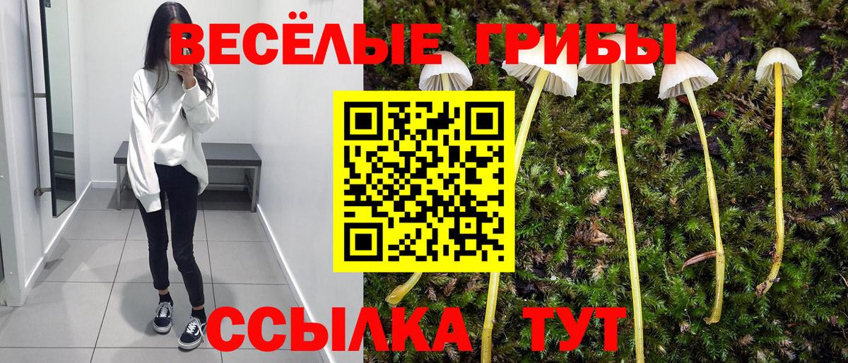 Галлюциногенные грибы GOLDEN TEACHER Балаково