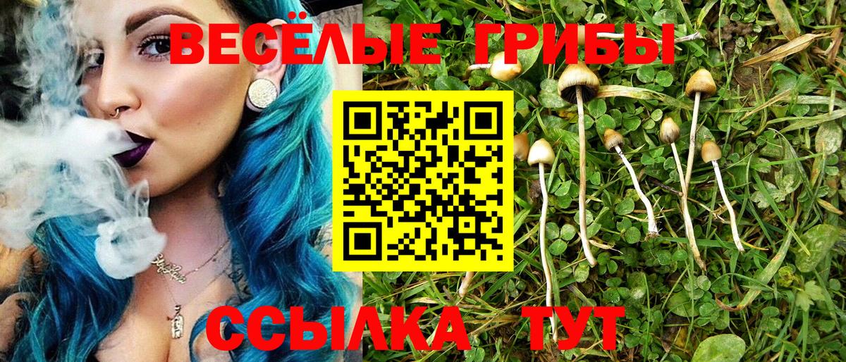 закладки  Галлюциногенные грибы мухоморы  Вход с VPN  Балаково  Галлюциногенные грибы Magic Shrooms 